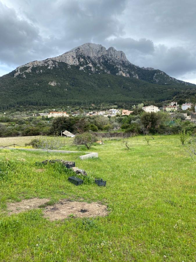 Casa Corofulu - Iun P2139 Ferienhaus Oliena