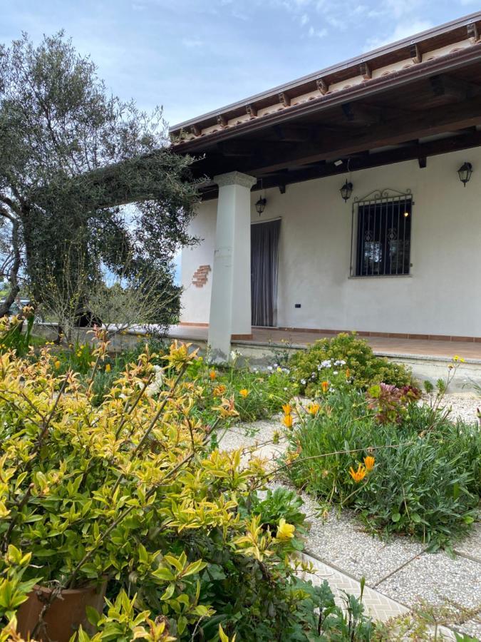Casa Corofulu - Iun P2139 Ferienhaus *