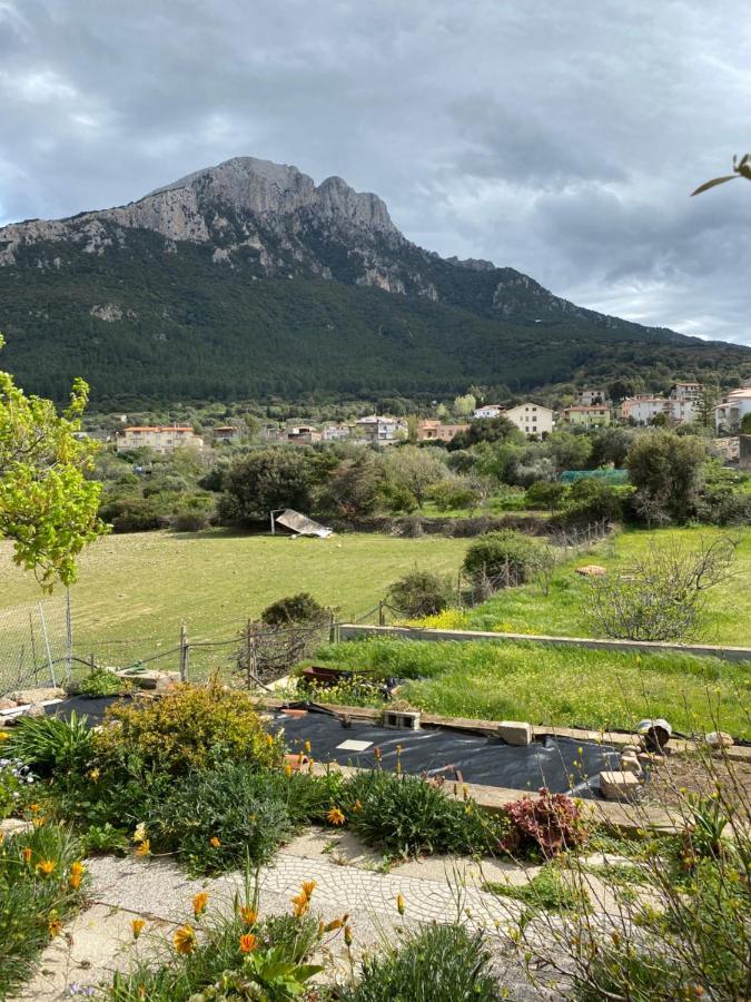 Casa Corofulu - Iun P2139 Oliena