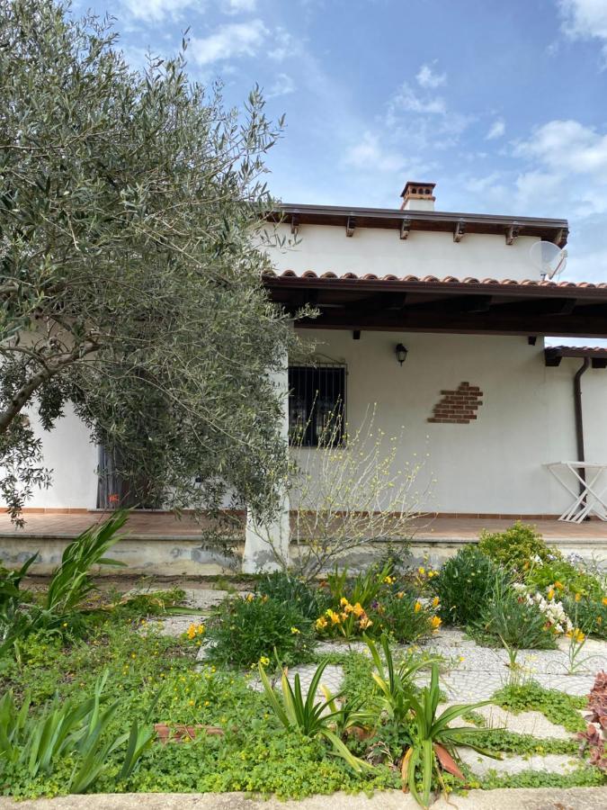 Casa Corofulu - Iun P2139 Ferienhaus