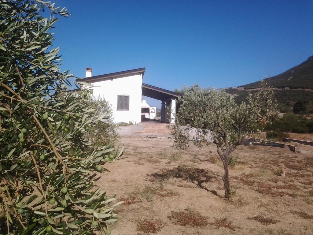 Casa Corofulu - Iun P2139 * Oliena