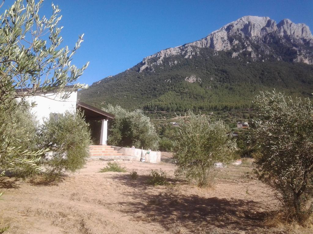 Casa Corofulu - Iun P2139 Oliena